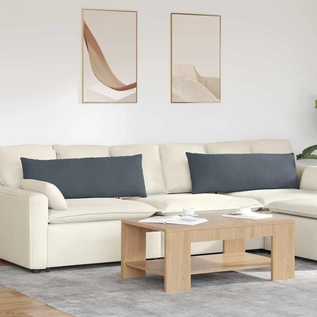 vidaXL Travesseiros de Sofá 2 pcs Cinza Escuro 120 x 40 cm