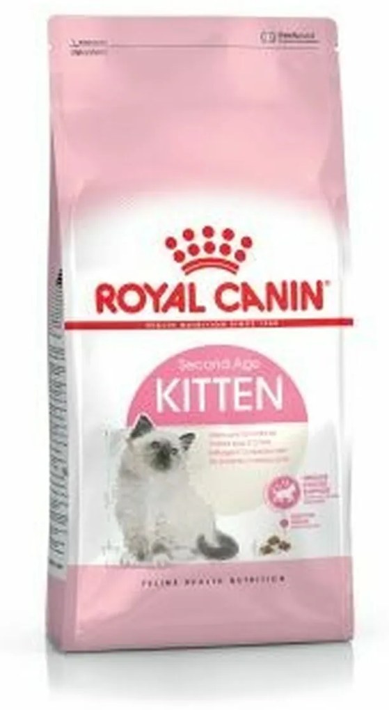 Comida para gato Royal Canin Kitten Pássaros 4 Kg