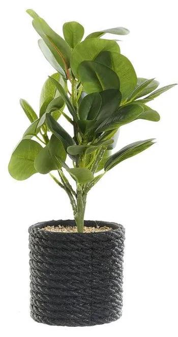 Planta Decorativa DKD Home Decor Preto Verde PVC EVA (16 x 18 x 32 cm)