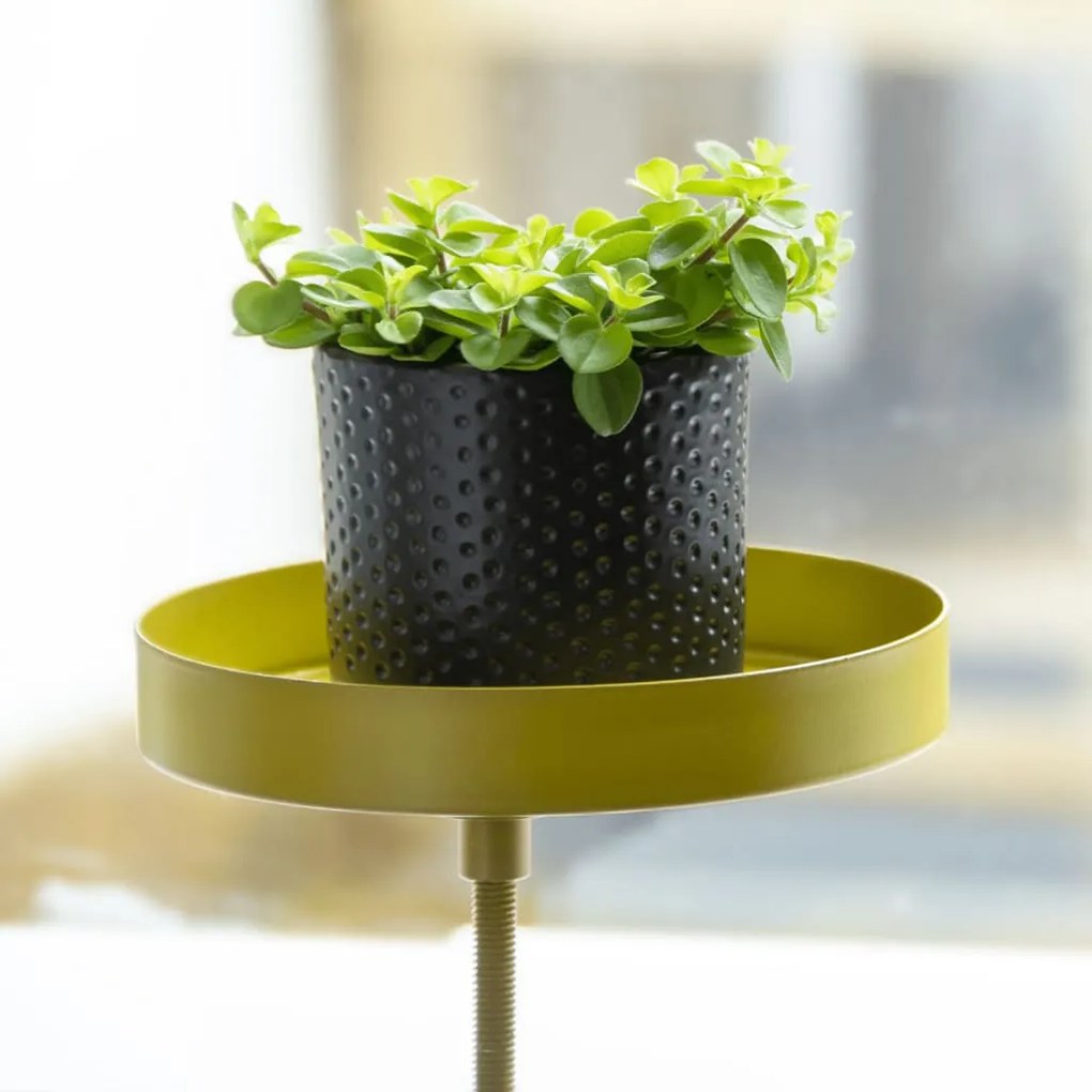 Esschert Design Tabuleiro p/ plantas redondo com braçadeira S dourado