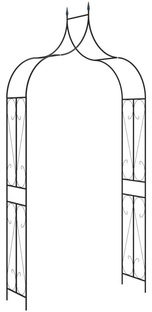 Arco de jardim 120x38x258 cm ferro preto