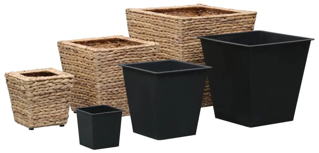 Vasos/floreiras 3 pcs jacinto de água