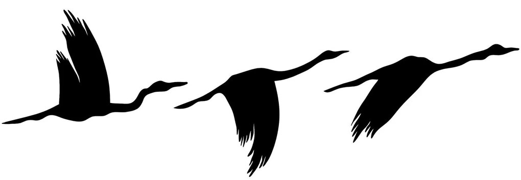 Acessório Decorativo de Parede Migrant Birds – Preto – 11 x 16 cm, 14