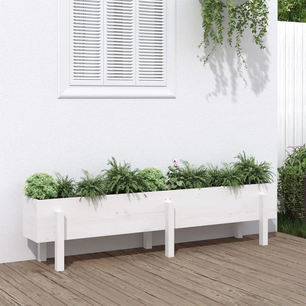 Canteiro elevado de jardim 160x30x38 cm pinho maciço branco