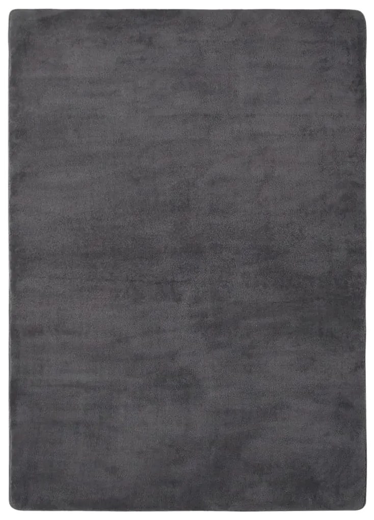 336469 vidaXL Tapete teddy 170x120 cm antracite