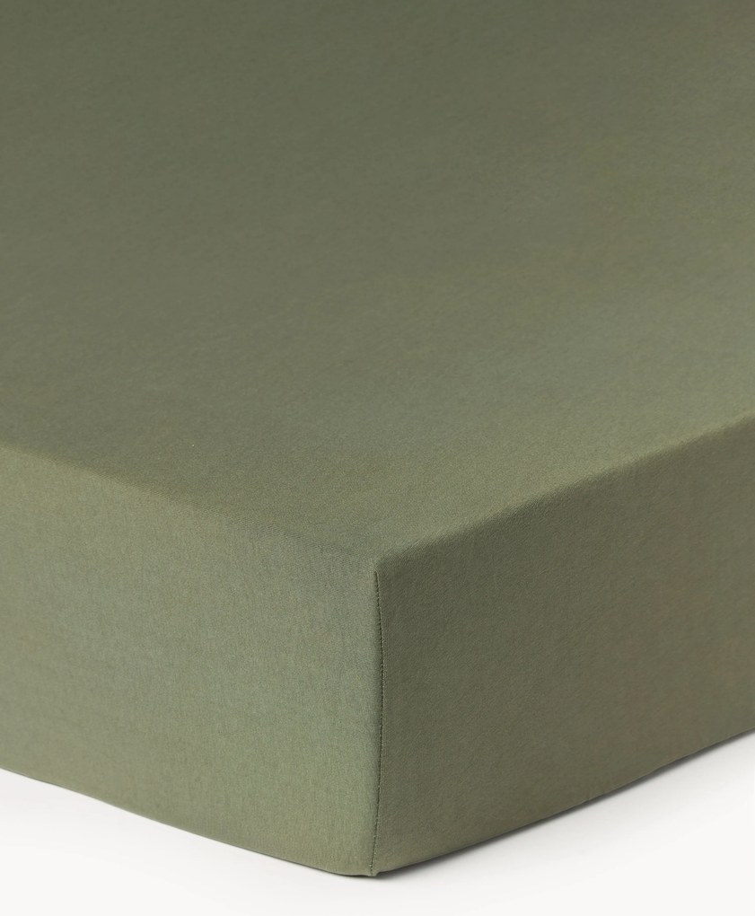 Lençol em jersey com elástico Thany