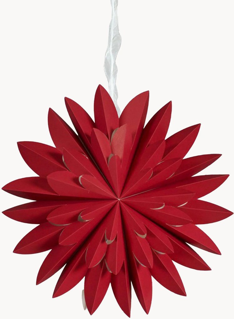 Estrela de Natal Hyacint