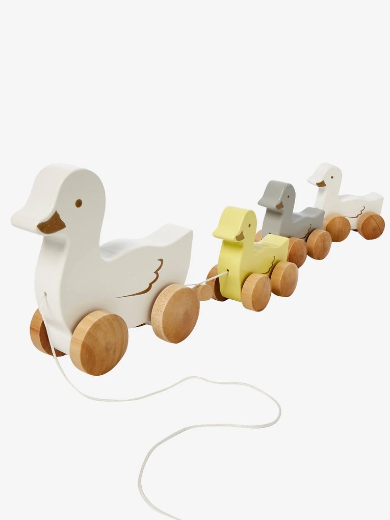 Família de patos para puxar multicolor