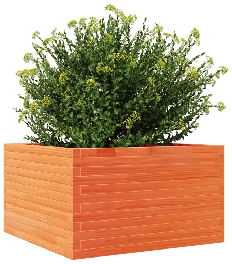 Vaso/floreira de jardim 80x80x45,5 cm pinho maciço castanho mel