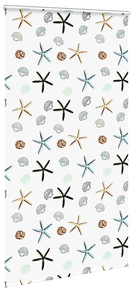Rolo de Duche Estores com 120x240 cm Largura Tecido 116 cm