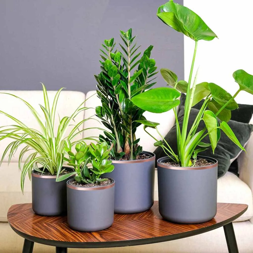 vidaXL Fita de cobre 6 pcs Cobre 2000 x 1 cm Cobre