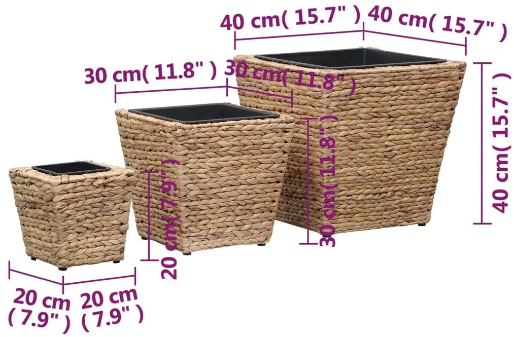 Vasos/floreiras 3 pcs jacinto de água