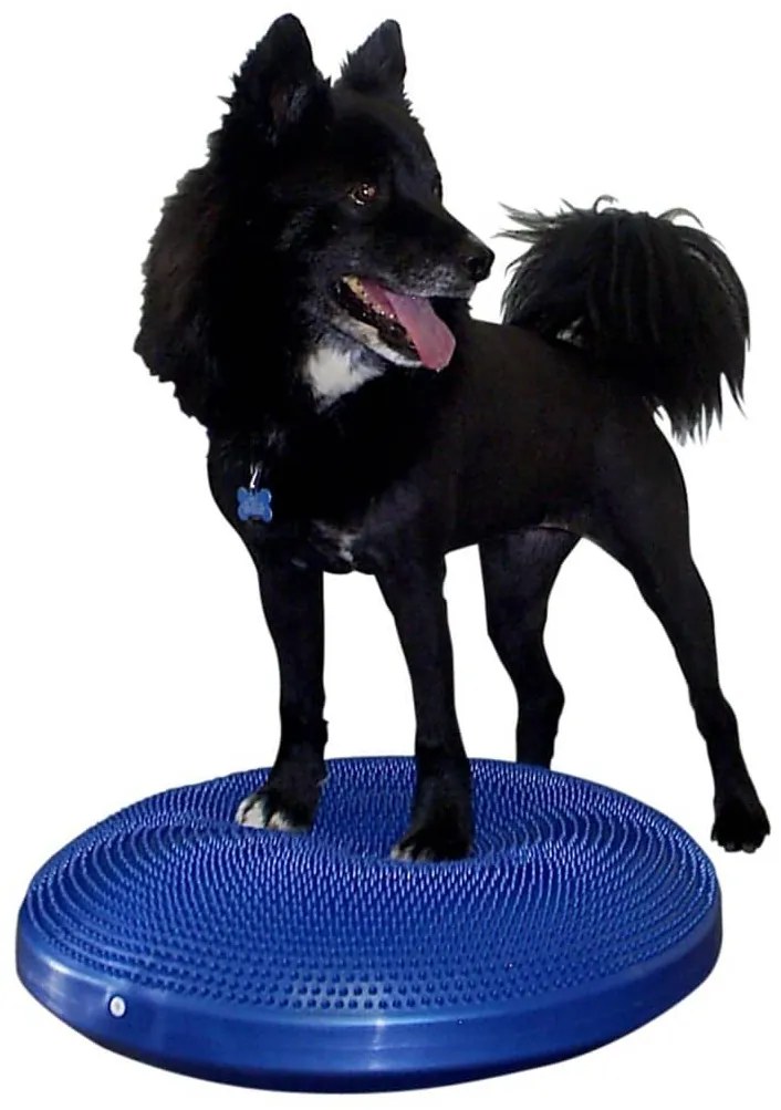 FitPAWS Disco de equilíbrio para animais de estimação 56 cm azul