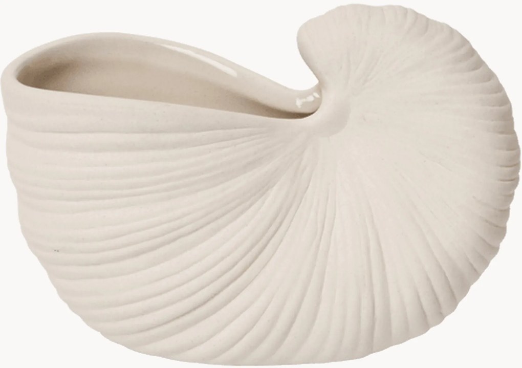 Vaso em forma de concha Shell, L 11 cm