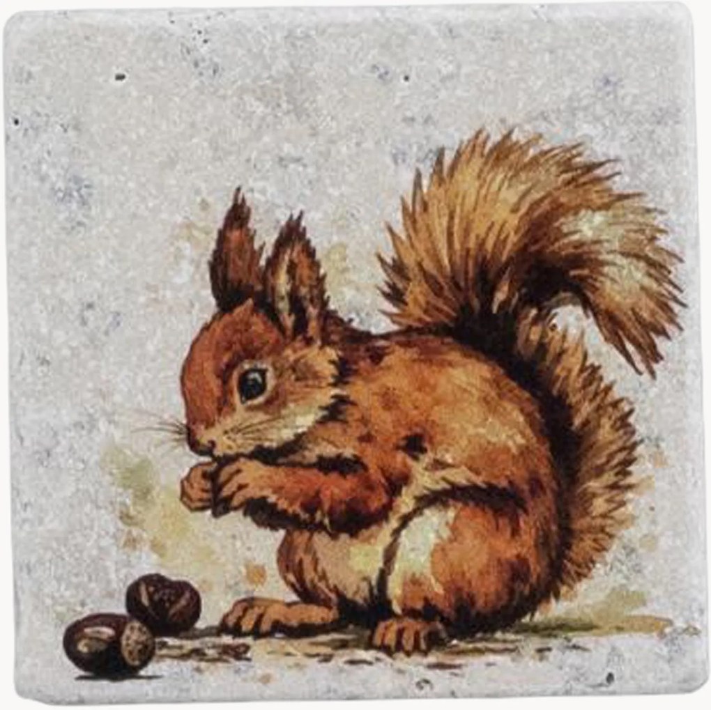 Bases para copos Squirrel, conjunto de 4