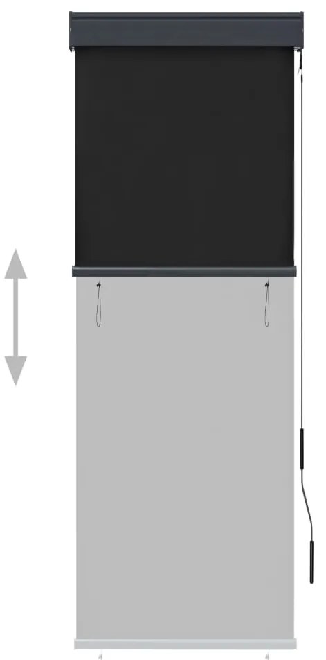 Estore de rolo para exterior 60x250 cm antracite