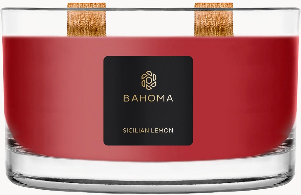 Vela perfumada com dois pavios Spirit of Christmas (cássis, cravinho, âmbar)