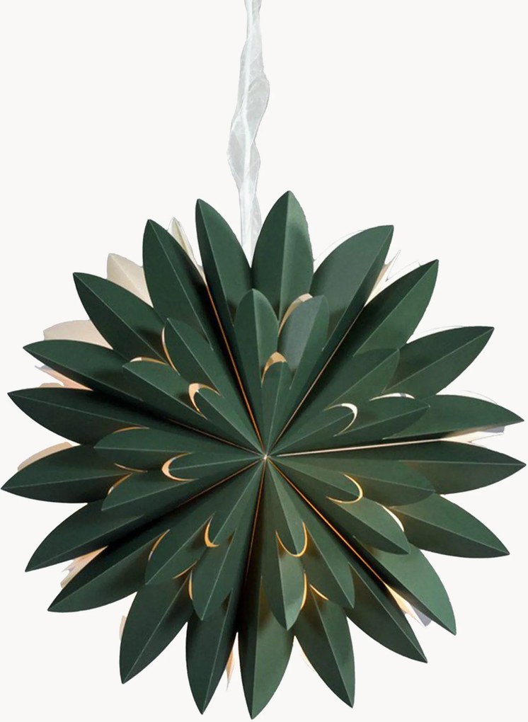 Estrela de Natal Hyacint