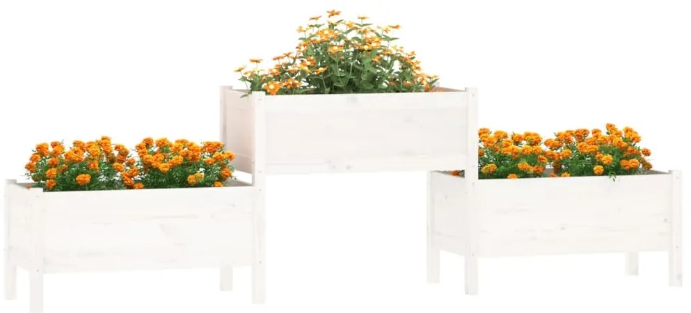 Vaso/floreira 245,5x44x75 cm pinho maciço branco