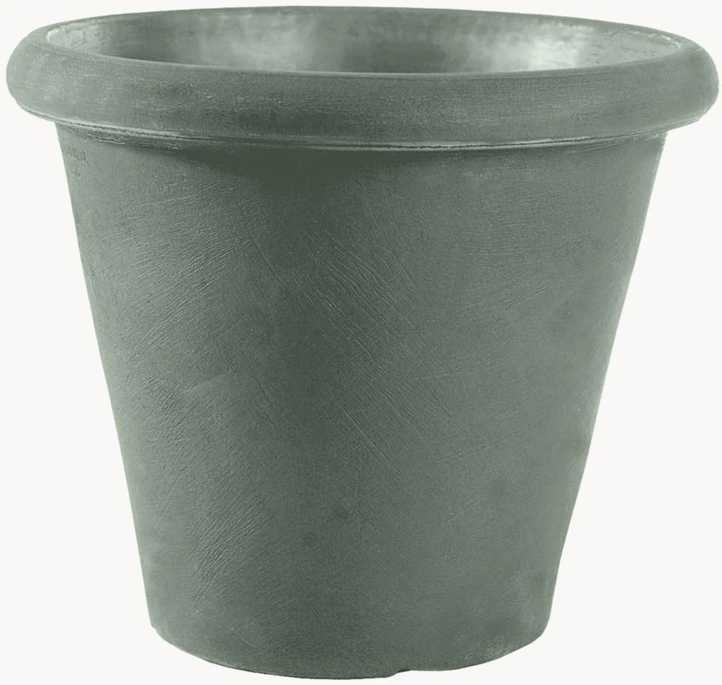 Vaso Camelia