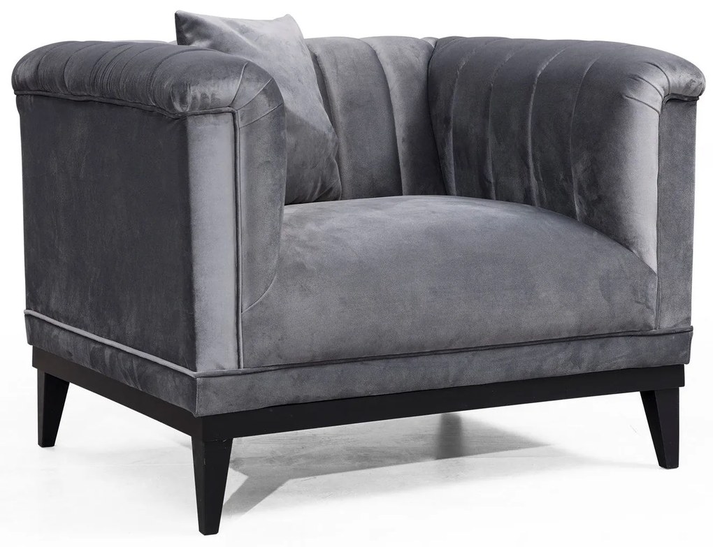 **** Cadeira Wing Trendy – Cinzento Escuro – 105x79x89 cm

**