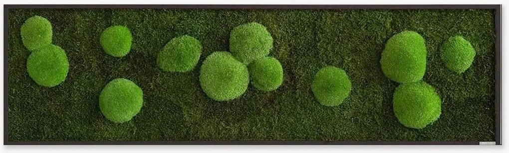 Quadro emoldurado artesanal com musgo Forest & Ball Wild