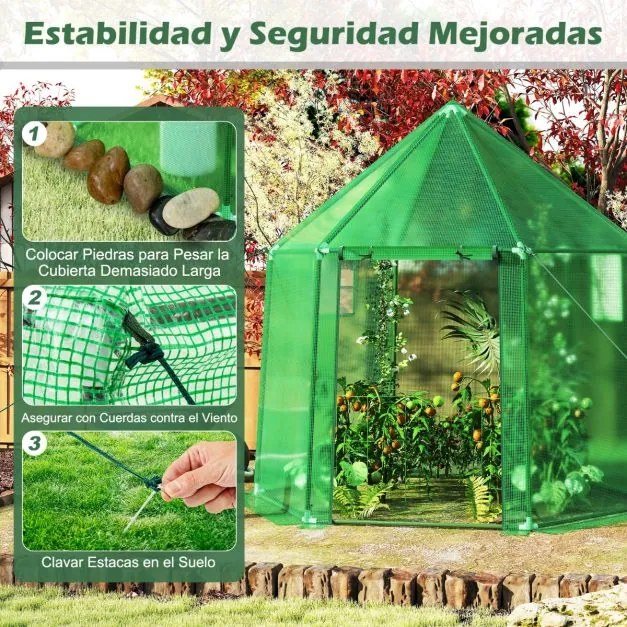 Mini Estufa Portátil 198 x 172 x 190 cm com Cobertura de PE com Revestimento de PE Antioxidante Porta Enrolável com fecho Verde