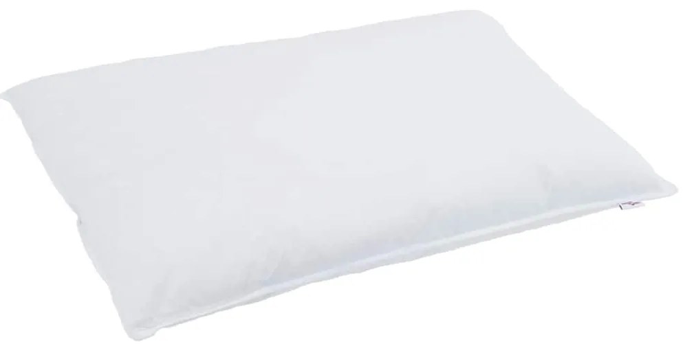 Edredão com travesseiro 2 pcs Branco 135 x 220 cm Penugem