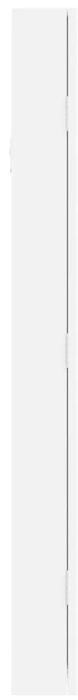 Móvel para joias de parede espelhado 30x8,5x90 cm branco
