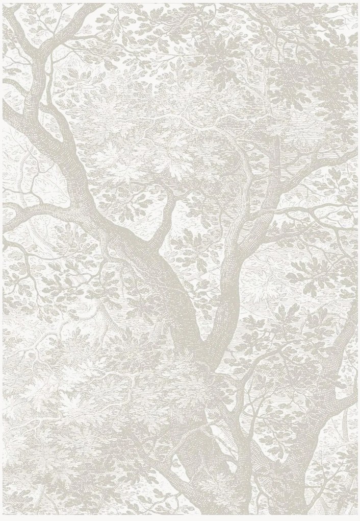 Papel de parede Engraved Landscapes