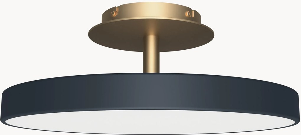 Candeeiro de teto LED regulável Asteria, vários tamanhos