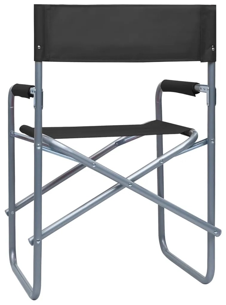 Cadeiras de realizador 2 pcs aço preto