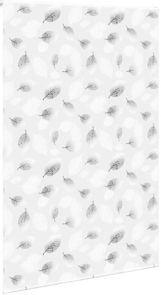 Rolo de Duche Estores 160x240 cm Largura Tecido 156 cm