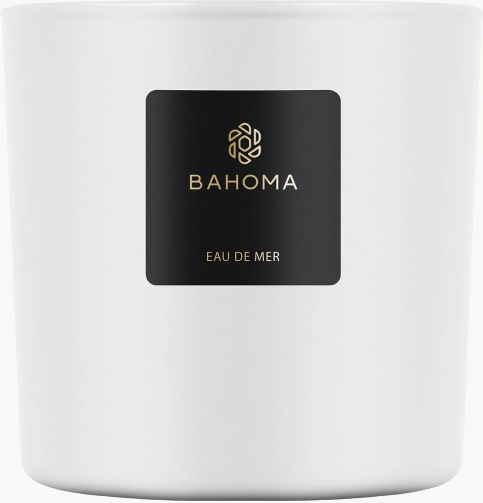 Vela perfumada Eau de Mer (marinho, cítrico, verde)