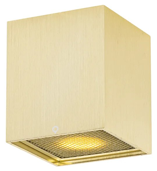 Projetores de design dourado - Qubo Honey Design
