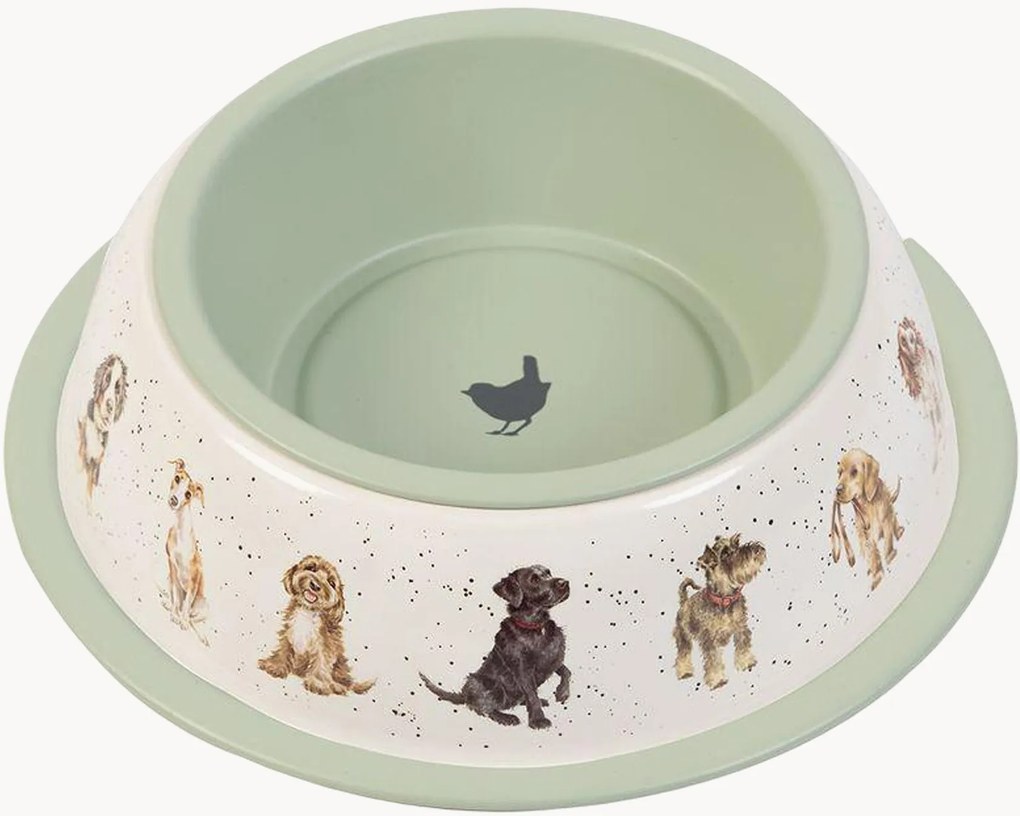 Taça para cão A Dog's Life