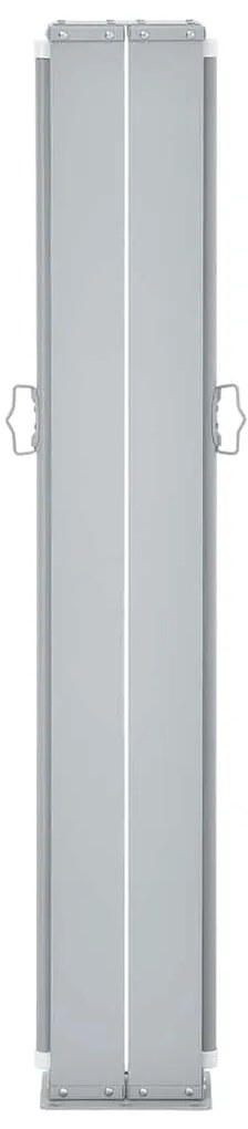Toldo lateral retrátil 100x1000 cm antracite