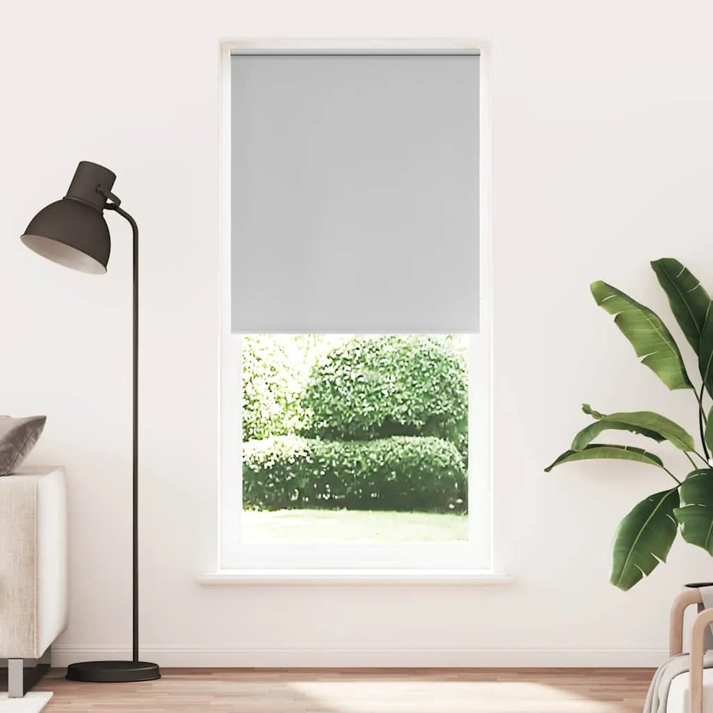 Estore de rolo 80 x 230 cm, Cinza