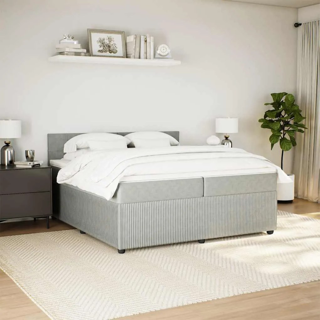 Cama com molas/colchão 200x200 cm veludo cinzento-claro
