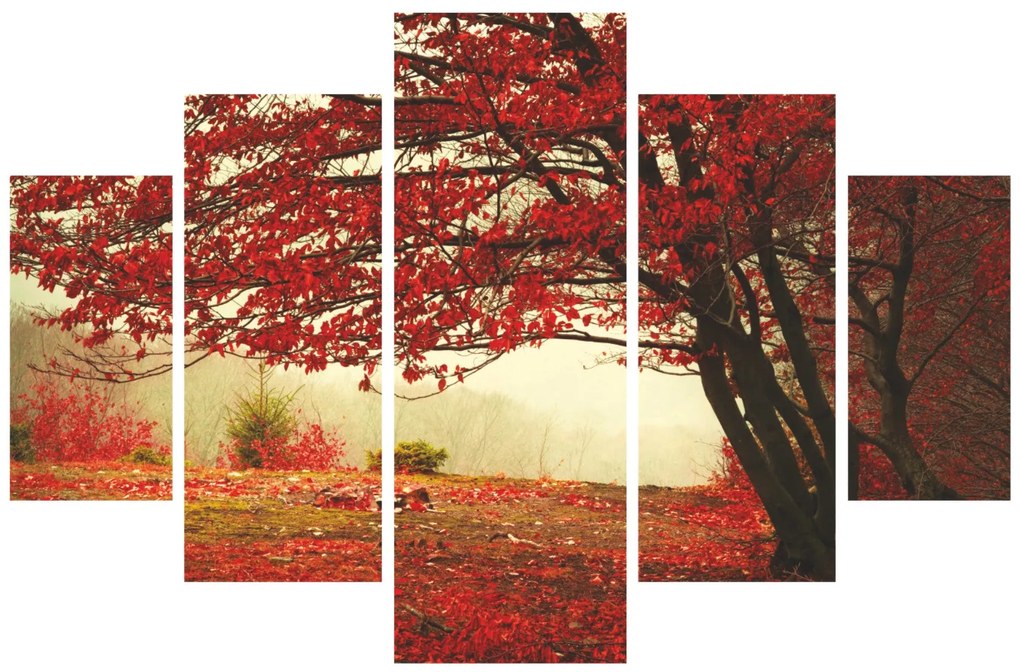 Pintura Decorativa em MDF ST037 – Multicolor – 92 x 56 cm
