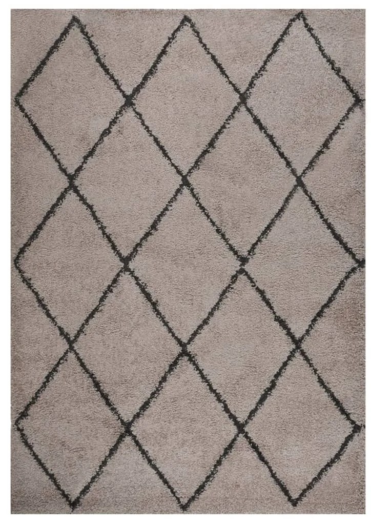 342153 vidaXL Tapete shaggy de pelo alto 120x170 cm bege/antracite
