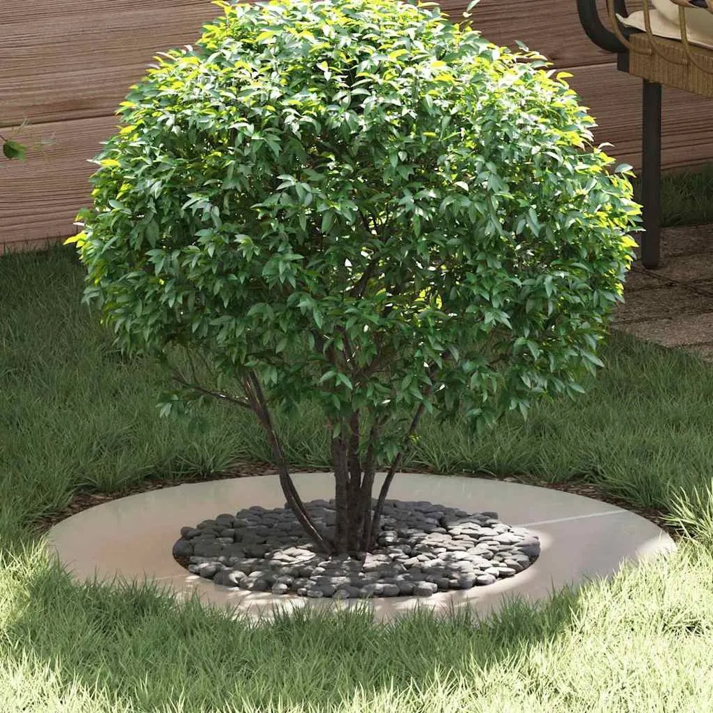 vidaXL Anel de Árvore Plano Ø40/70 cm em Aço Inoxidável
