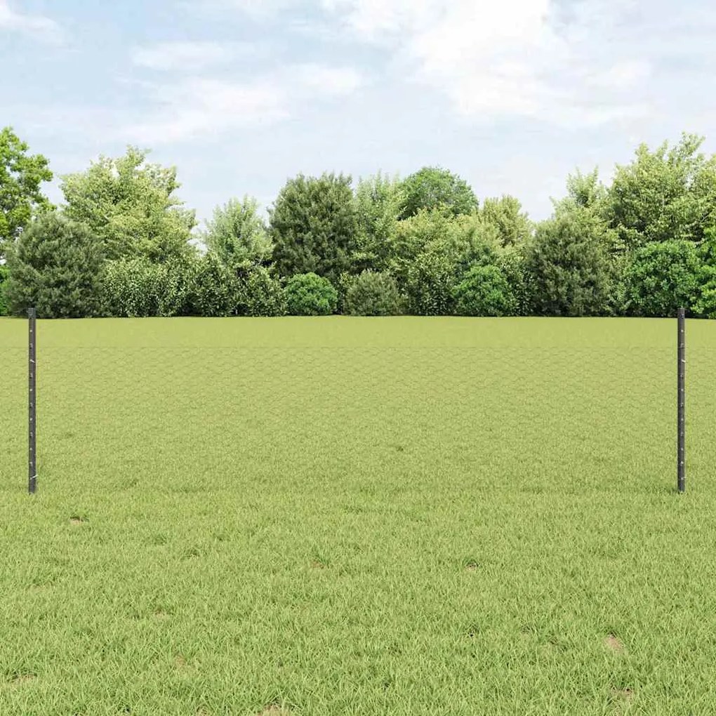 vidaXL Conjunto de Cerca de Jardim Conjunto de 2 Cinza Metal Grande