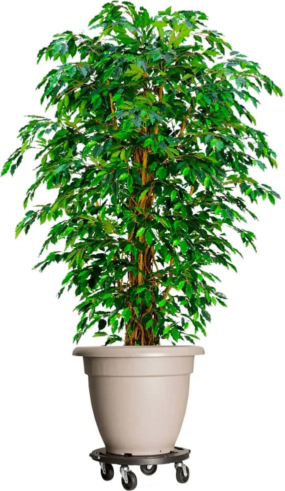 vidaXL Carrinho de plantas com rodas 3 pcs diâmetro 40 cm 275 kg preto