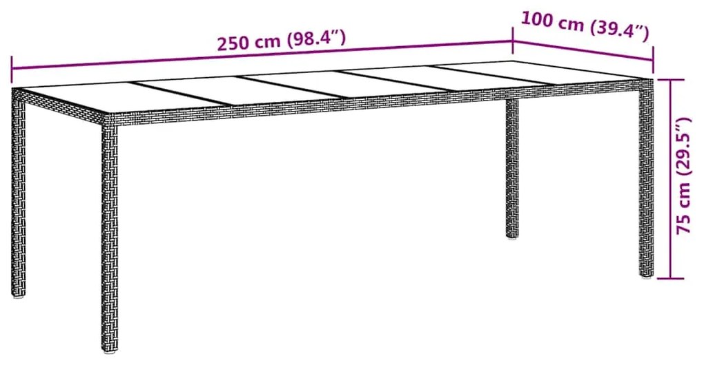 Mesa de Jantar de Jardim Cinza 250x100x75 cm Vime PE