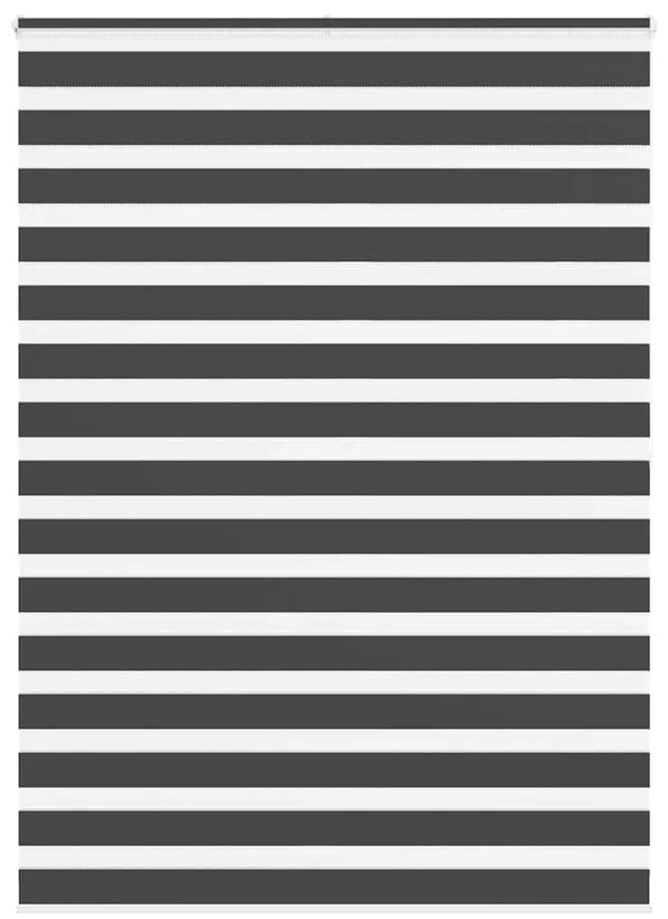 vidaXL Cortina de zebra 165x200 cm largura do tecido 160,9cm poliéster