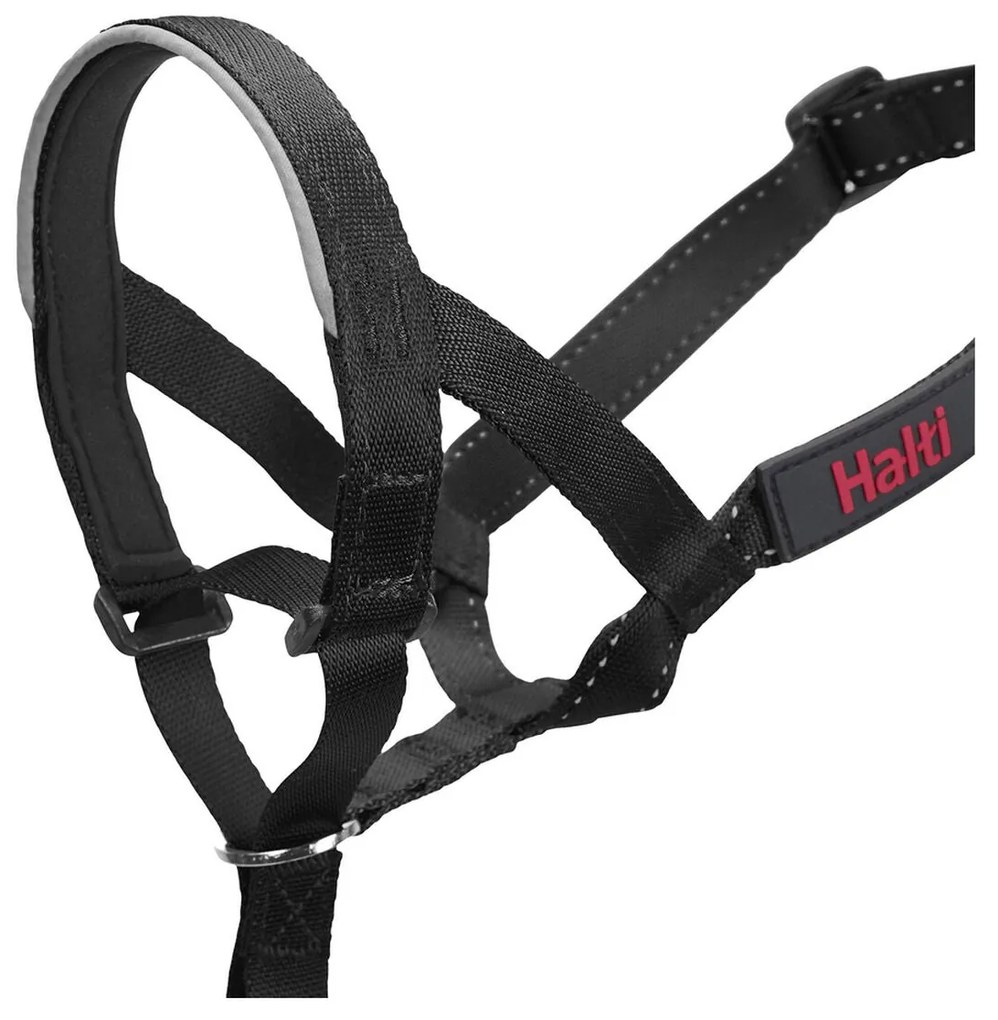 Coleira de Treino para Cães Company of Animals Halti Preto Açaime (40-54 cm)