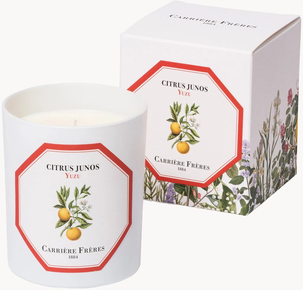 Vela perfumada Yuzu (fresco, ácido, tónica)