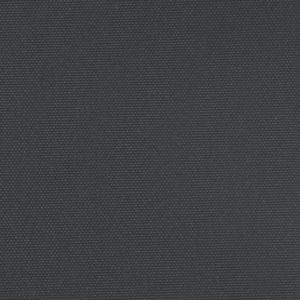 Toldo lateral retrátil 100x600 cm preto