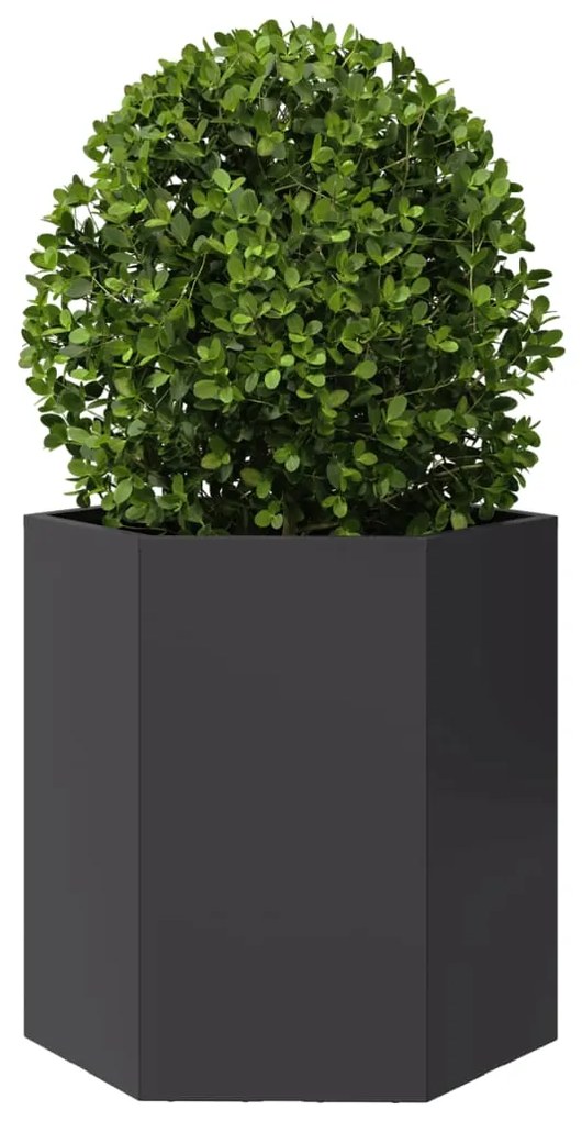 Vaso/floreira de jardim 2 pcs hexagonal 46x40x45 cm aço preto